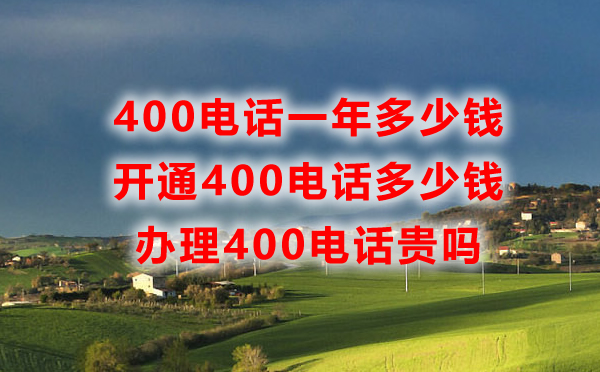 400電話一年多少錢